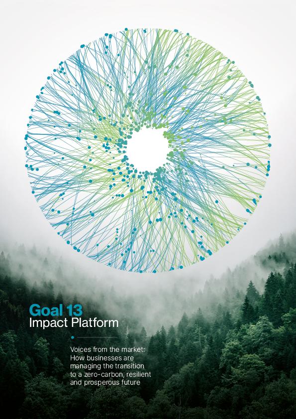 The Goal 13 Impact Platform report